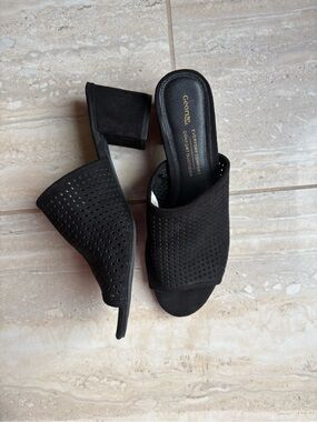 Black Block Heel Mule Sandals